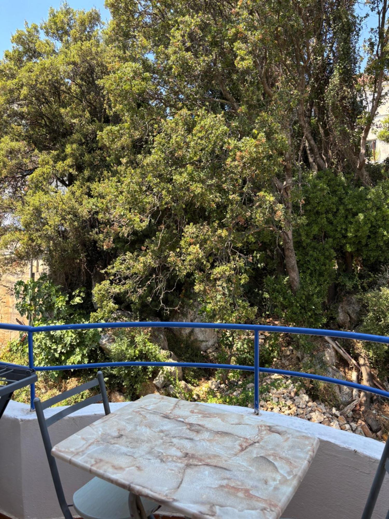 By The Sea Hostel *
